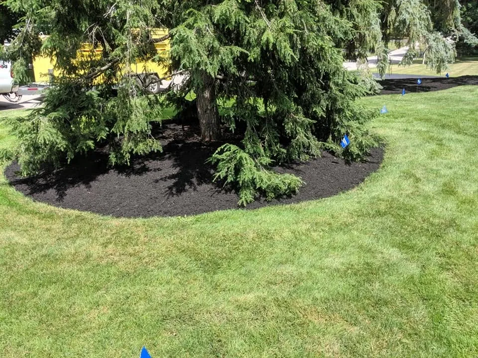 Cadles Lawn and Landscape, photo 5