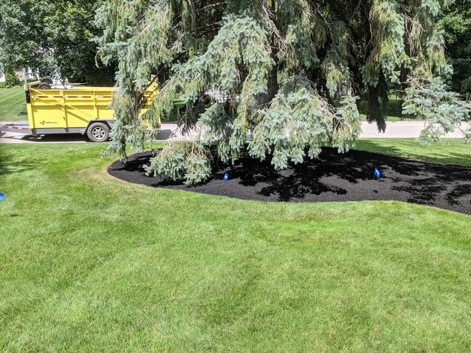 Cadles Lawn and Landscape, photo 6